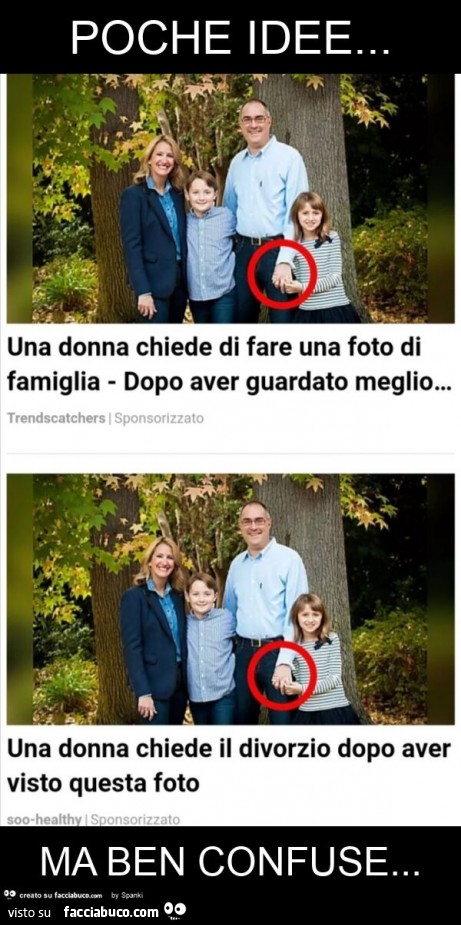 Poche idee… ma ben confuse