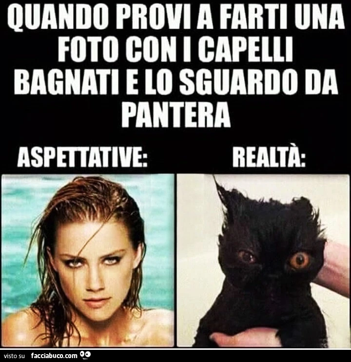 Quando provi a farti una fotografia con i capelli bagnati e lo sguardo da pantera