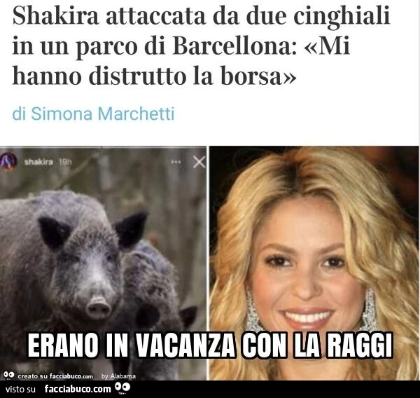 Erano in vacanza con la raggi
