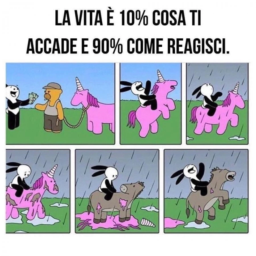 La vita è 10% cosa ti accade e 90% come reagisci
