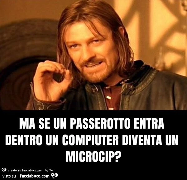 Ma se un passerotto entra dentro un compiuter diventa un microcip?
