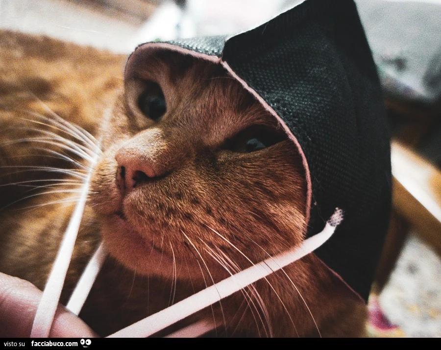 Papuc con mascherina come cappellino