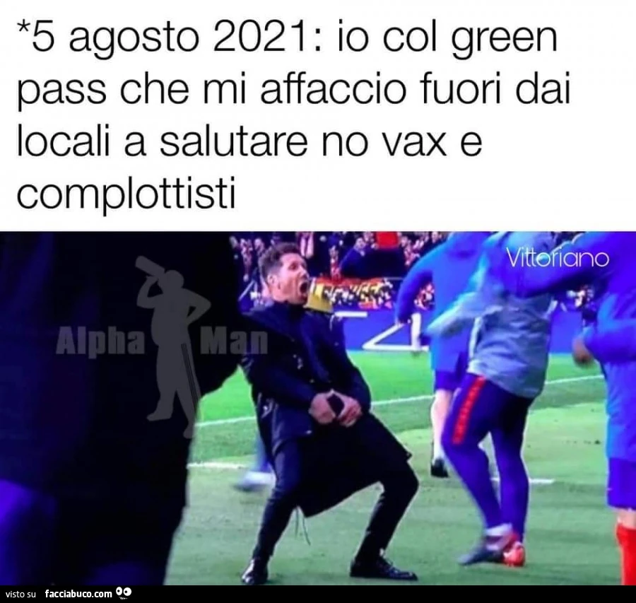 Vaccata
