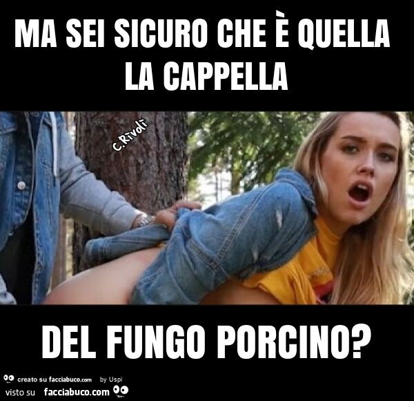 Ma sei sicuro che è quella la cappella del fungo porcino?