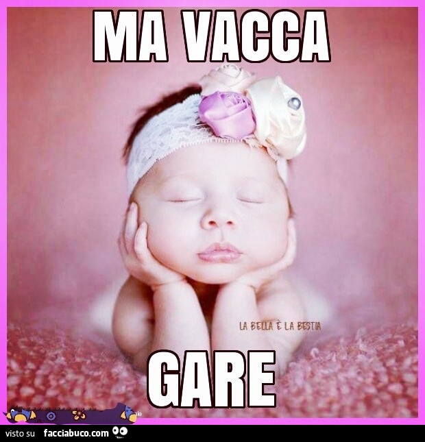 Vaccata