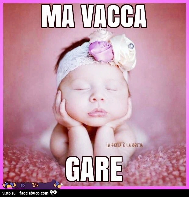 Vaccata