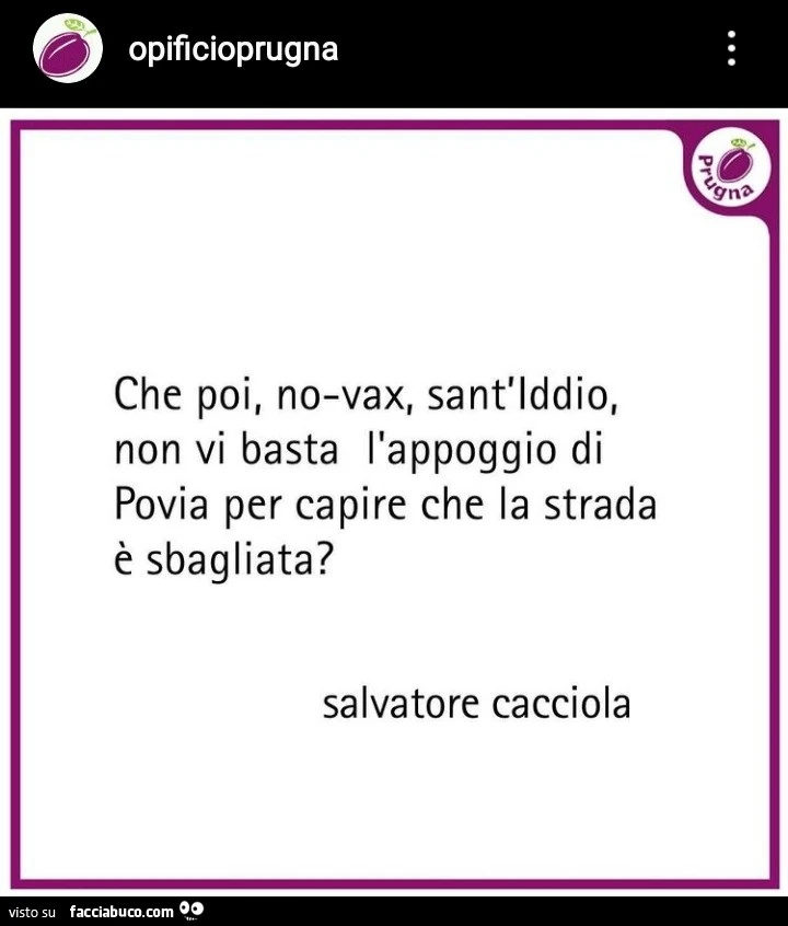 Vaccata