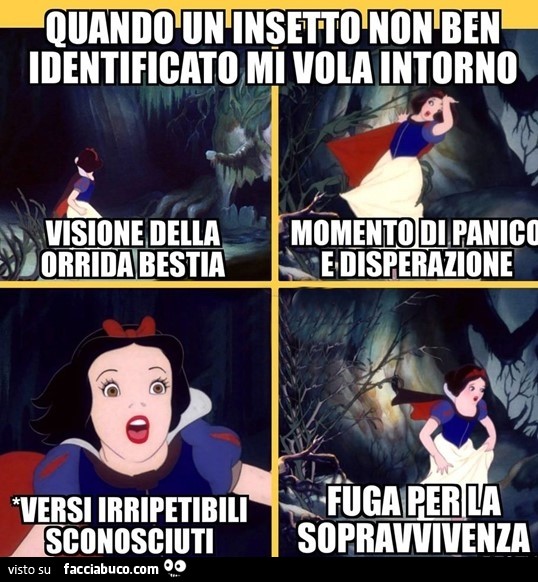 Vaccata
