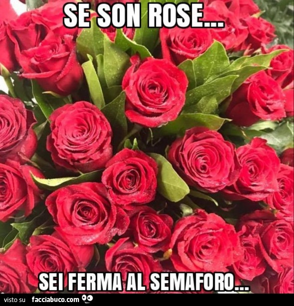 Se son rose… sei ferma al semaforo