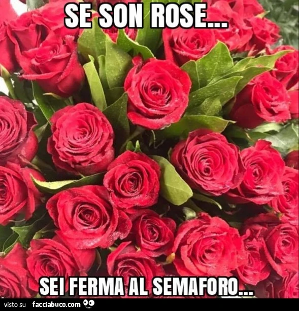 Se son rose&hellip; sei ferma al semaforo