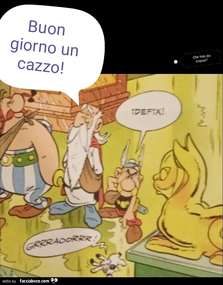 Vaccata