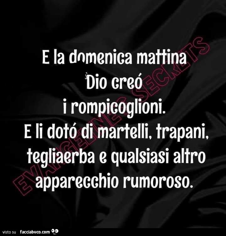 E la domenica mattina dio creò i rompicoglioni. E li dotò di martelli, trapani, tegliaerba e qualsiasi altro apparecchio rumoroso
