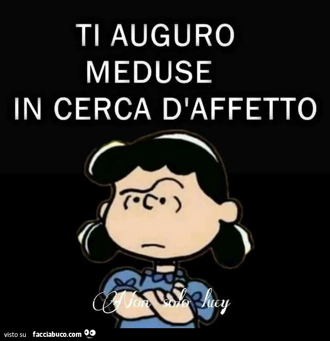 Ti auguro meduse in cerca d'affetto