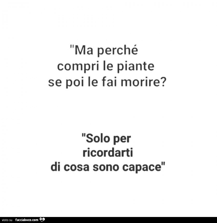 Ma perché compri le piante se poi le fai morire? Solo per ricordarti di cosa sono capace