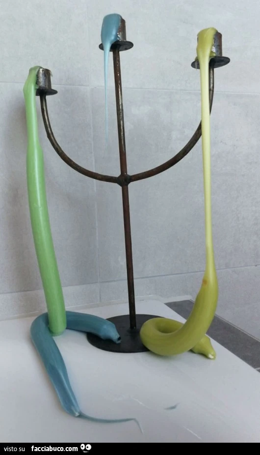 Vaccata