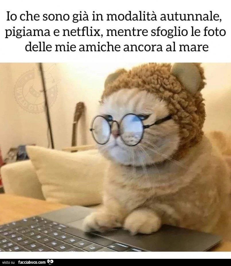 Vaccata