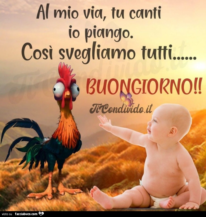 E così fu...!!!! Buongiorno e buon mercoledì a tutti ????!… - Facciabuco.com