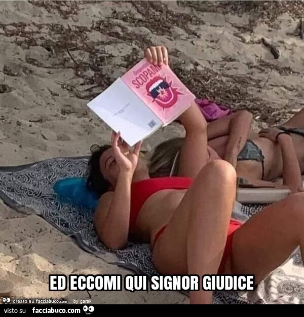 Ed eccomi qui signor giudice