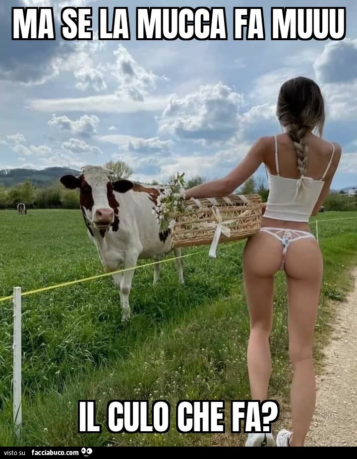 Ma se la mucca fa muuu il culo che fa