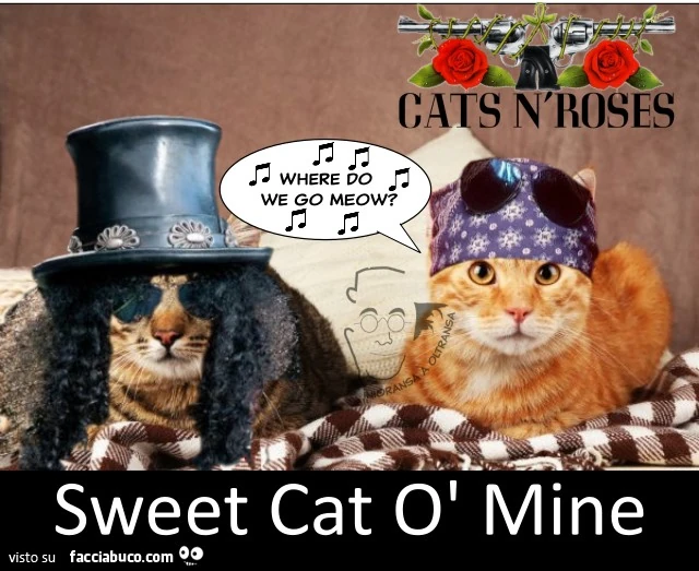 Sweet Cat ò Mine