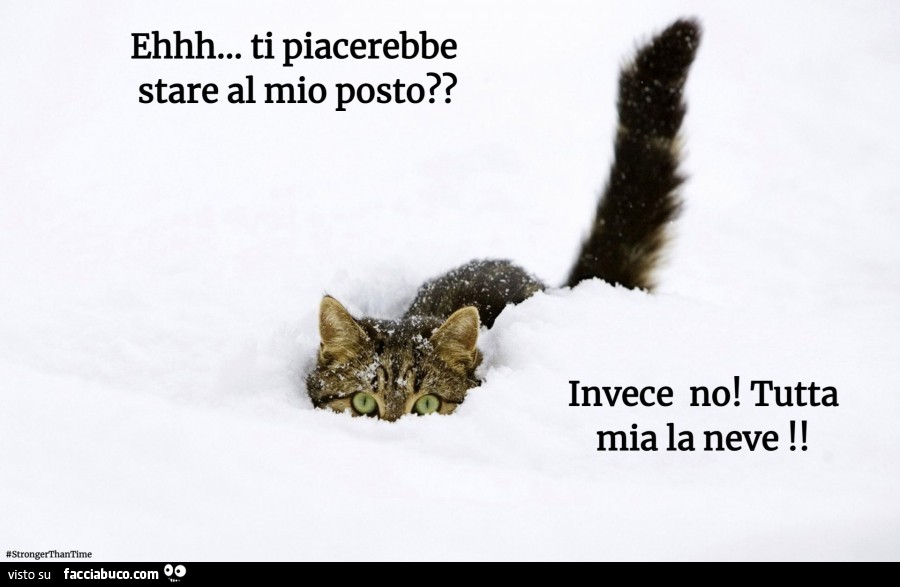 Ehhh… ti piacerebbe stare al mio posto? Invece no! Tutta mia la neve