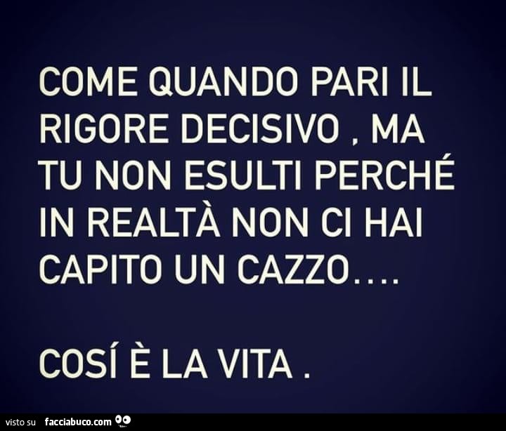 Come quando pari il rigore decisivo, ma tu non esulti perché in realtà non ci hai capito un cazzo. Cosi è la vita