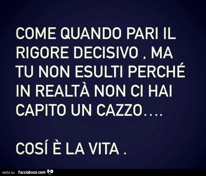 Come quando pari il rigore decisivo, ma tu non esulti perché in realtà non ci hai capito un cazzo. Cosi è la vita