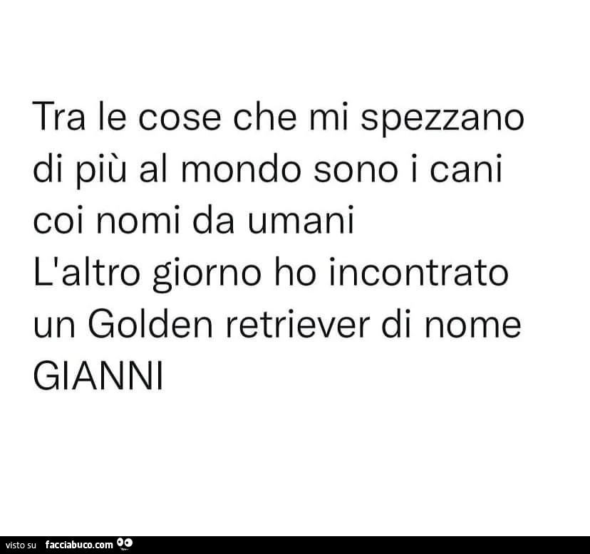 Tra le cose che mi spezzano di più al mondo sono i cani coi nomi da umani l'altro giorno ho incontrato un golden retriever di nome gianni