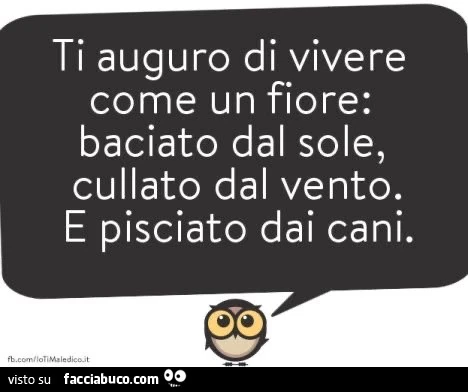 Io ti maledico