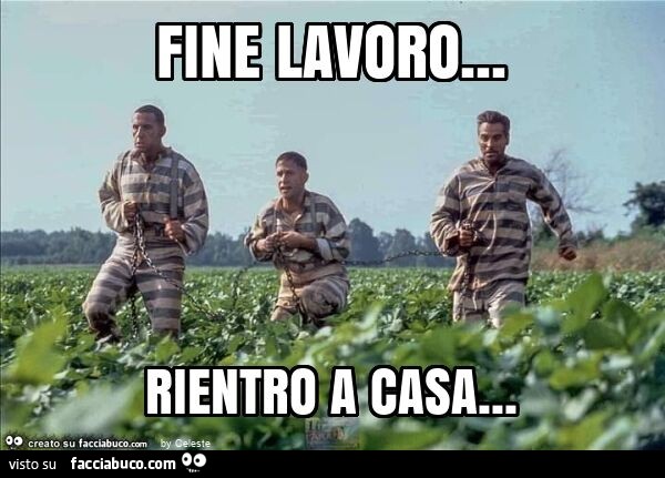 Fine lavoro… rientro a casa