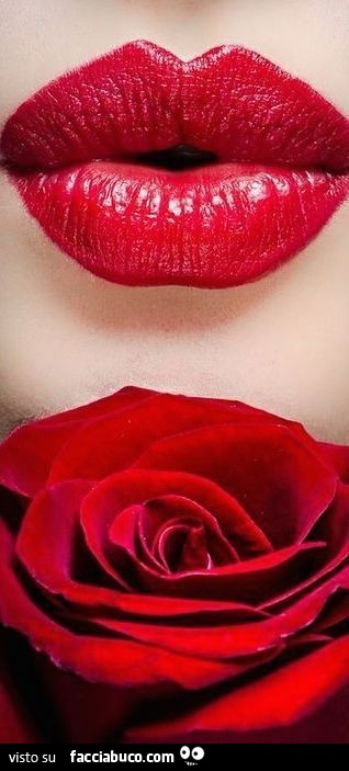 Labbra e rosa rossa