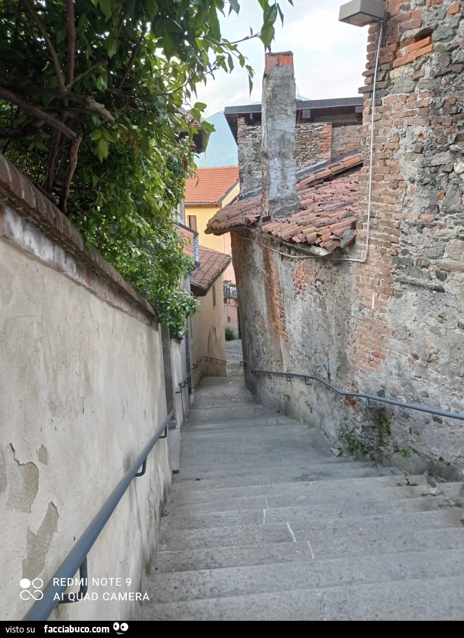 Poesia. La scala della vita