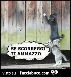 Saluti sera