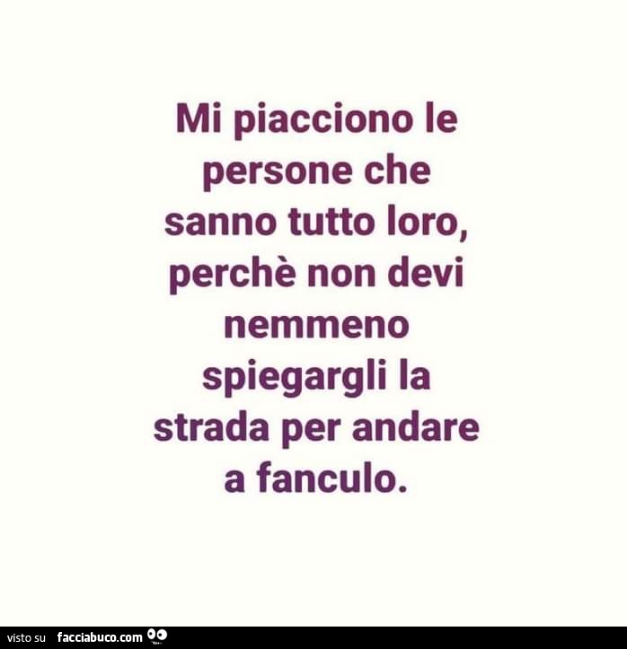 Mi piacciono le persone che sanno tutto loro, perchè non devi nemmeno spiegargli la strada per andare a fanculo