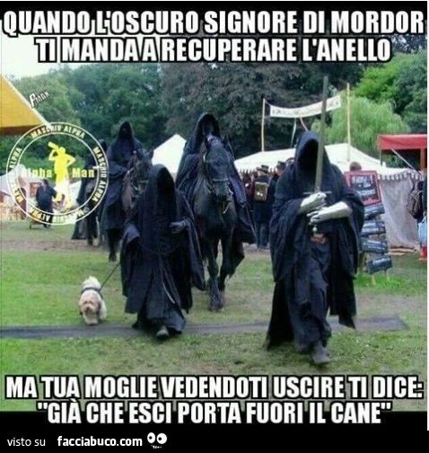 Vaccata