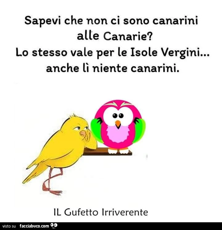 Sapevi che non ci sono canarini alle canarie? Lo stesso vale per le isole vergini&hellip; anche lì niente canarini