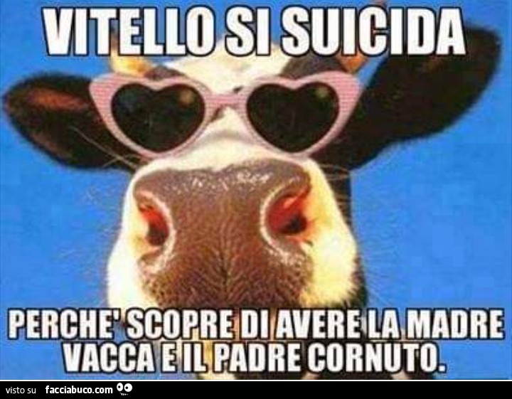 Vitello si suicida perché scopre di avere la madre vacca e il padre cornuto