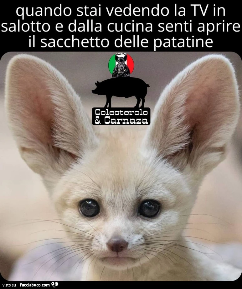 Vaccata