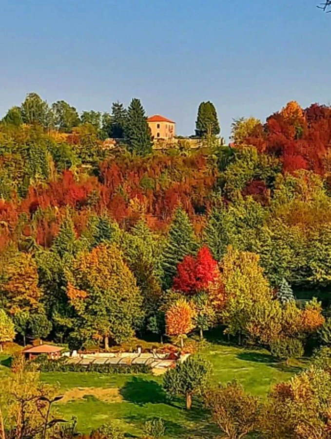 Alberi foliage