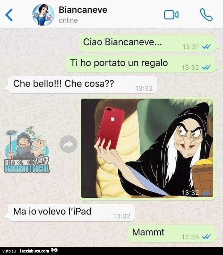 Vaccata