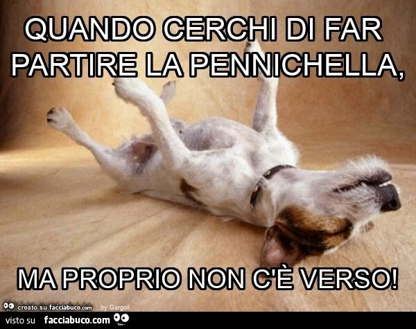Quando cerchi di far partire la pennichella, ma proprio non c'è verso