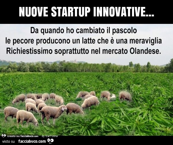 Nuove startup innovative