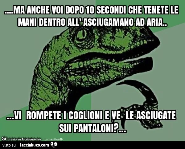 Ma anche voi dopo 10 secondi che tenete le mani dentro all' asciugamano ad aria… vi rompete i coglioni e ve le asciugate sui pantaloni?
