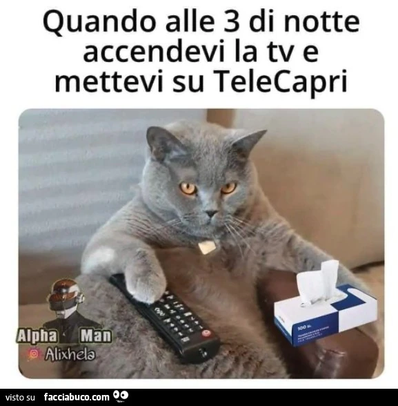 Vaccata