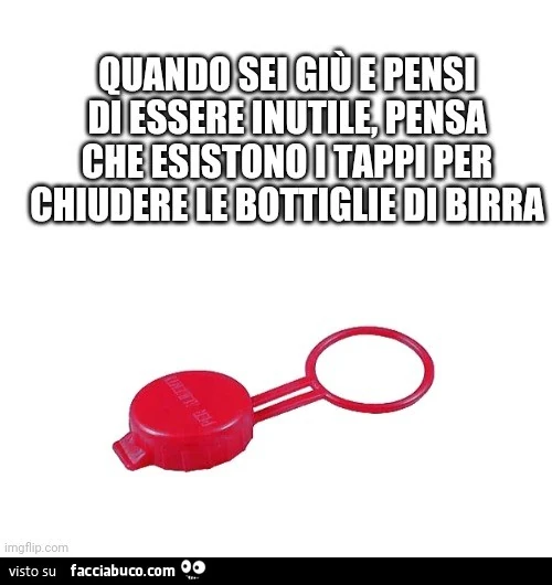 Quando sei giù e pensi di essere inutile, pensa che esistono i tappi per chiudere le bottiglie di birra