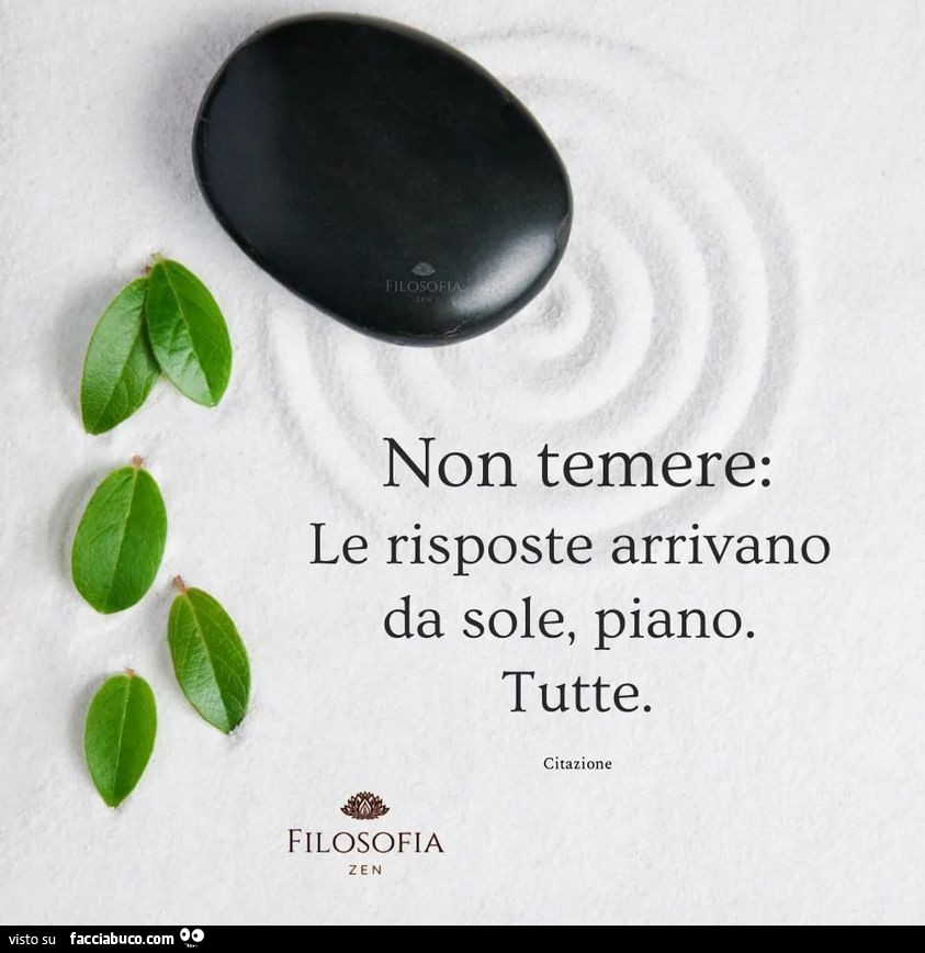 Non temere: le risposte arrivano da sole, piano. Tutte
