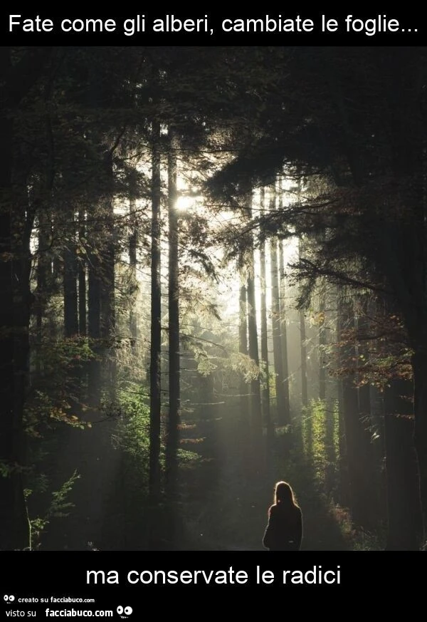Fate come gli alberi, cambiate le foglie&hellip; ma conservate le radici
