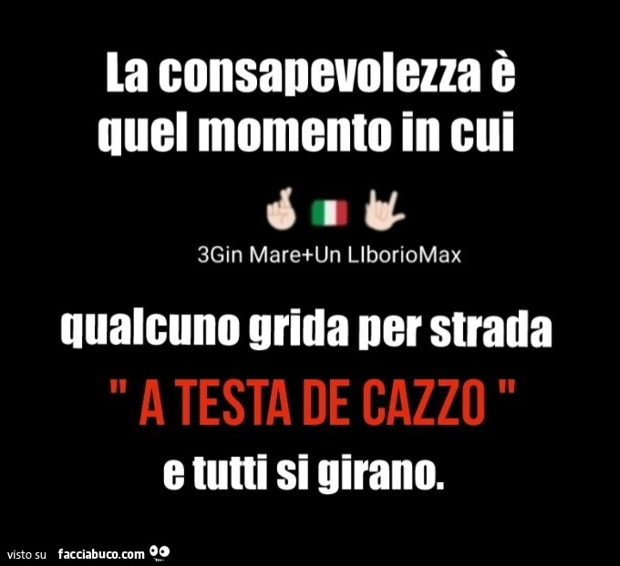 La consapevolezza è quel momento in cui qualcuno grida per strada a testa de cazzo e tutti si girano