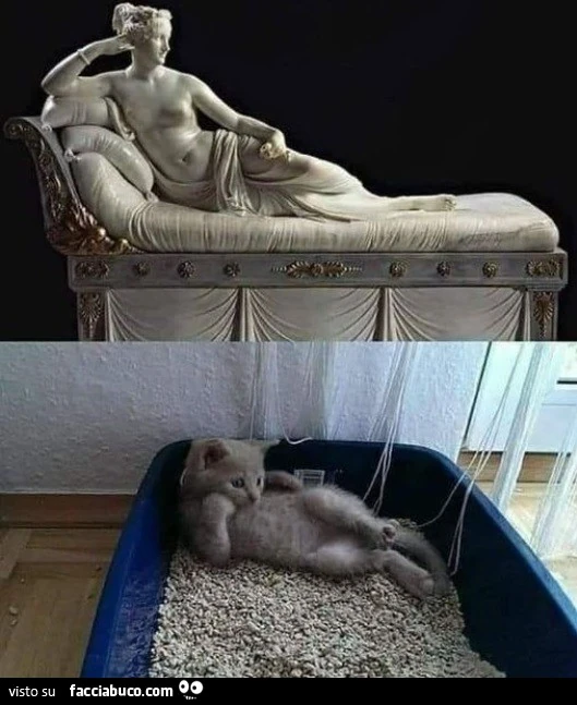 Vaccata