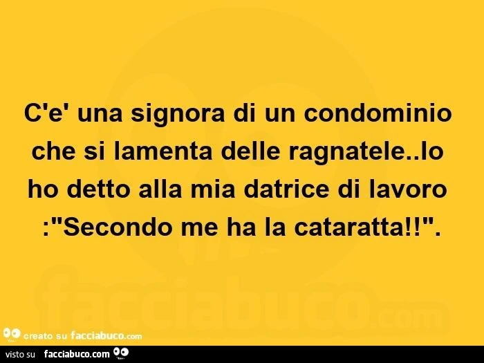 C'รจ una signora di un condominio che si lamenta delle ragnatele. Io ho detto alla mia datrice di lavoro: secondo me ha la cataratta